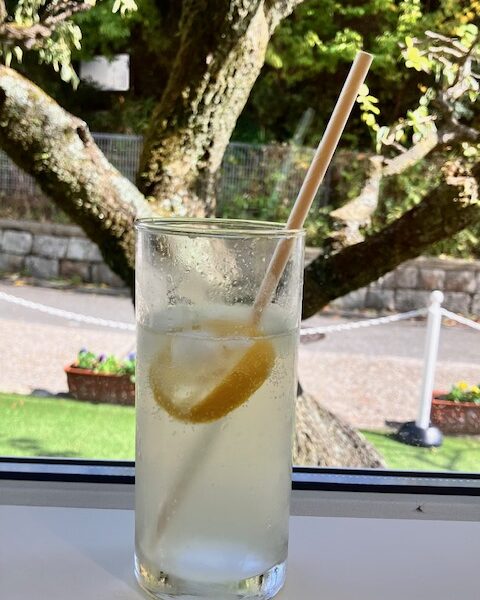 無農薬自家製ゆずソーダ